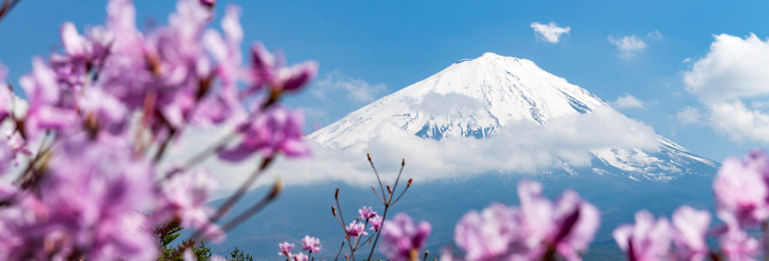 ストーリー性を持ったコンテンツで山梨県内を多言語整備