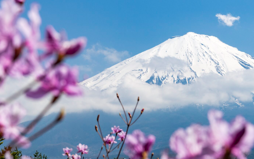 ストーリー性を持ったコンテンツで山梨県内を多言語整備