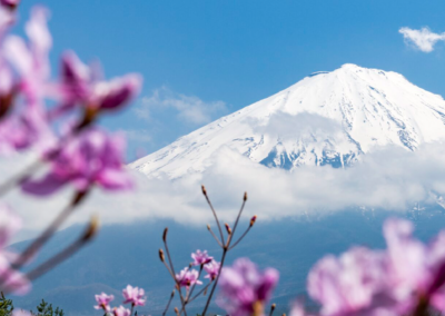 ストーリー性を持ったコンテンツで山梨県内を多言語整備